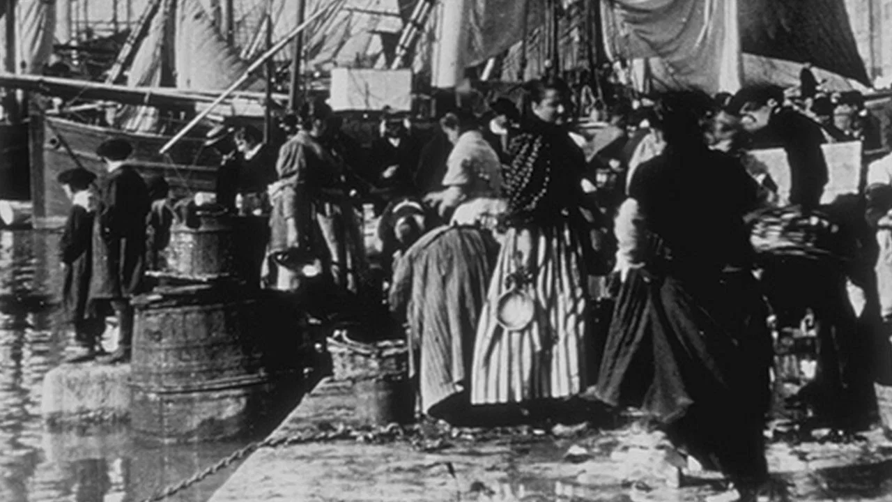 Marseille, March&eacute; aux poissons - 剧照