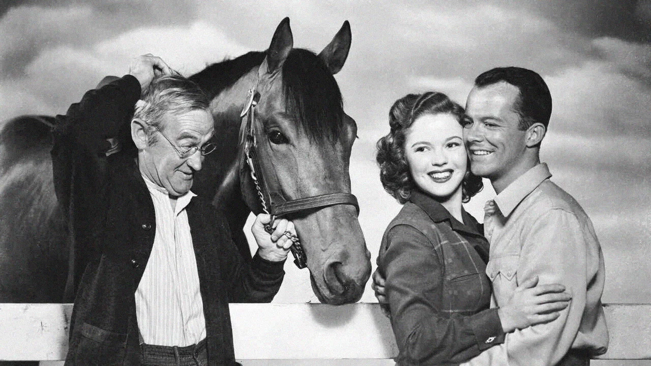 The Story of Seabiscuit - 剧照