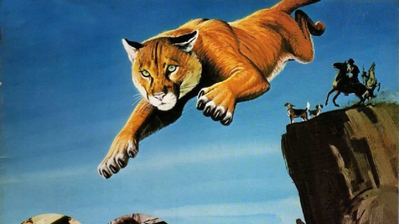 Run, Cougar, Run - 剧照