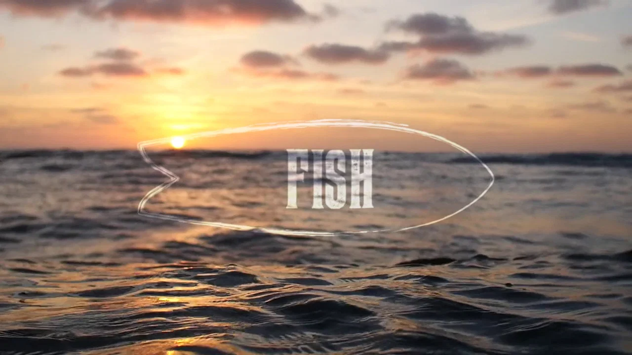 Fish: The Surfboard Documentary - 剧照