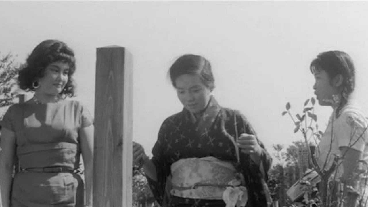 日本昆虫记 - 剧照