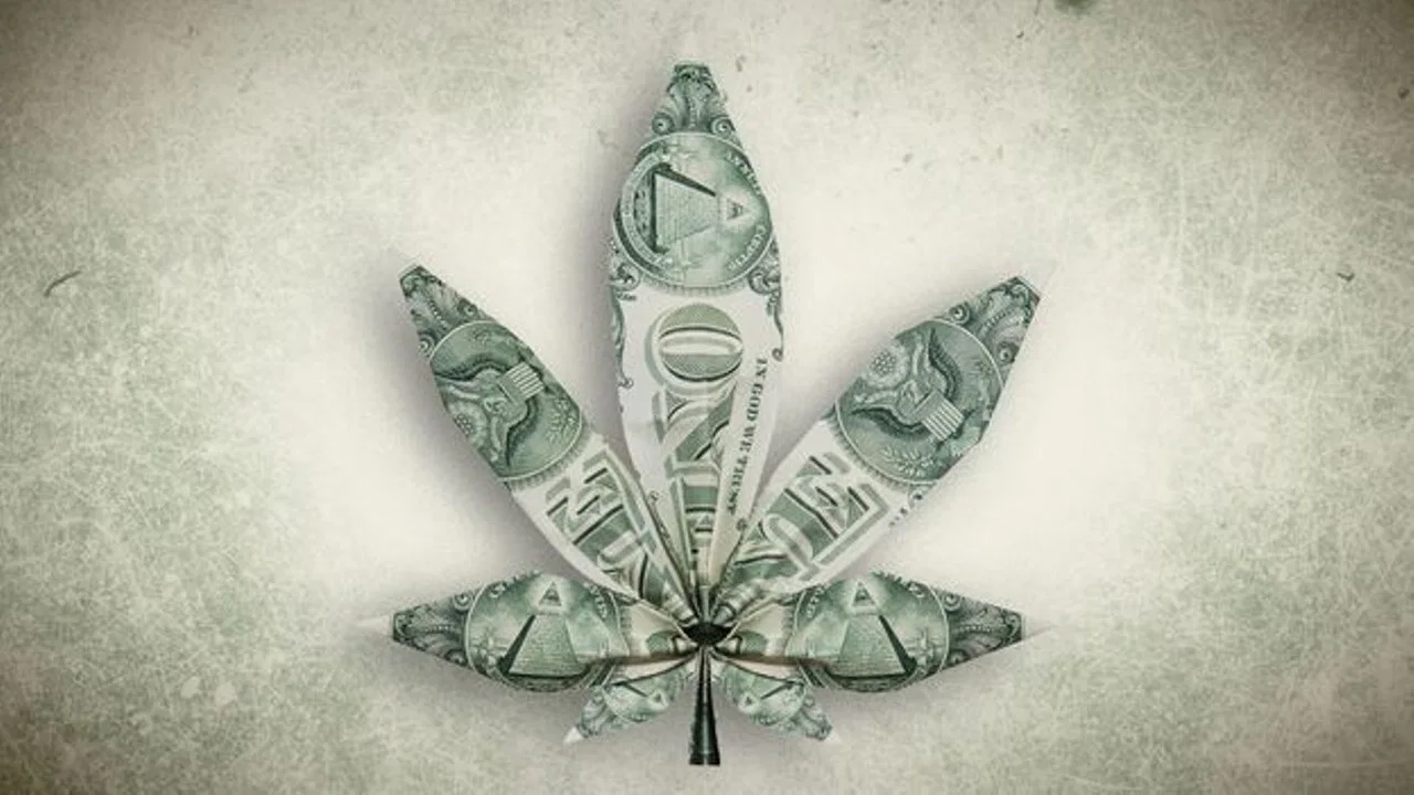 Cannabis : quand le deal est l&eacute;gal - 剧照