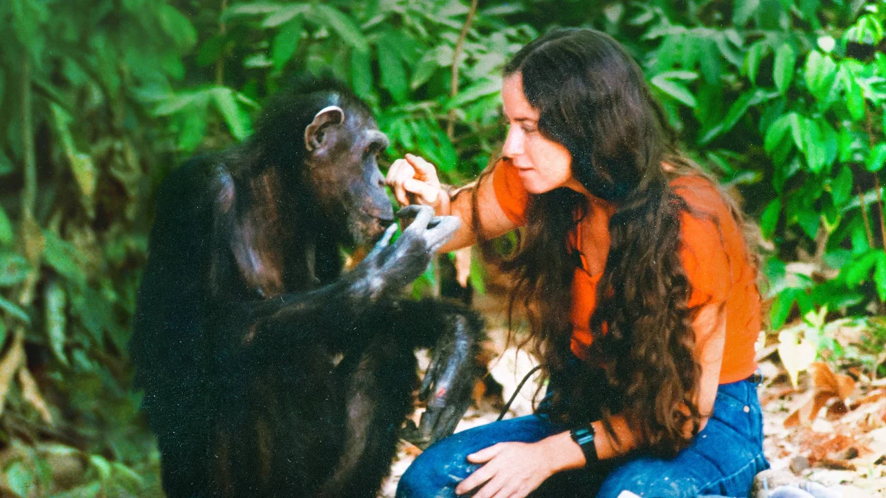 Lucy the Human Chimp - 剧照