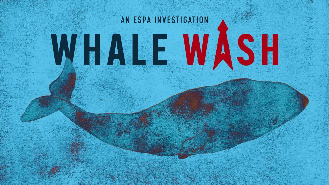 Whale Wash - 剧照