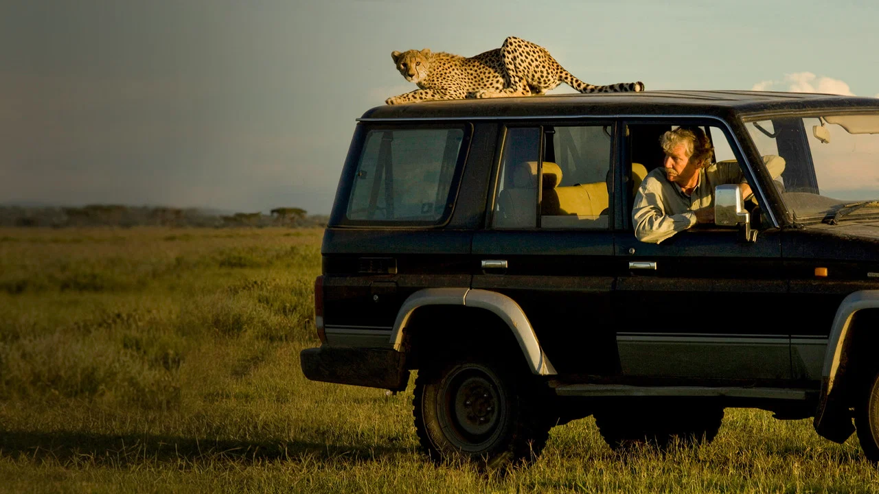 Cat Wars: Lion vs. Cheetah - 剧照