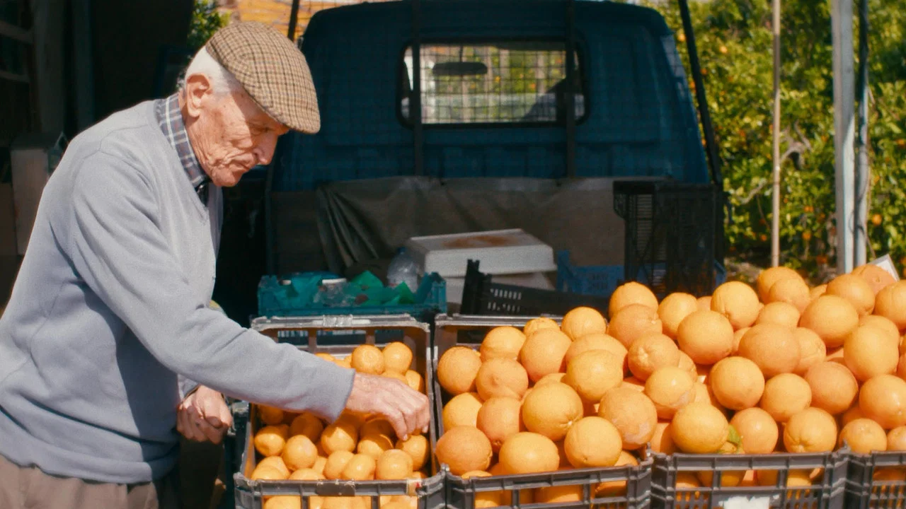 O Tempo De Comer Uma Laranja - 剧照