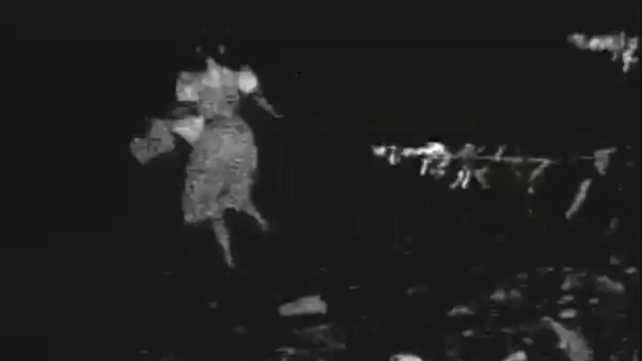 The Oz Witch Project - 剧照