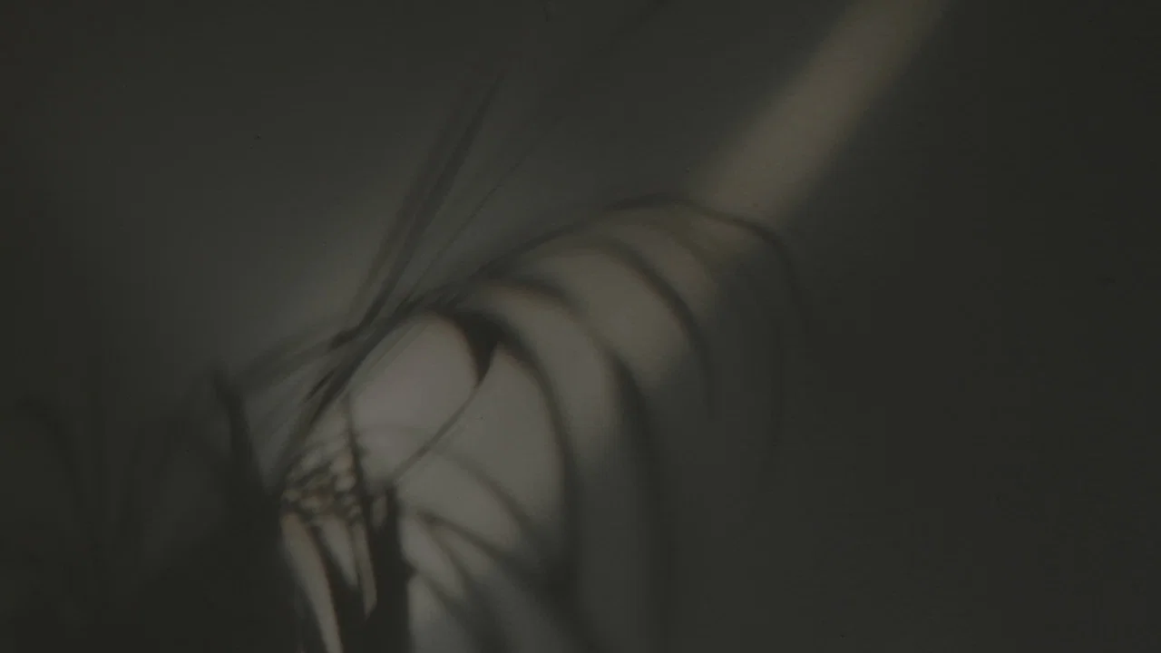 Once Faithful - 剧照