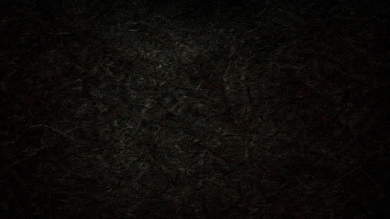 CONTAINMENT - 剧照