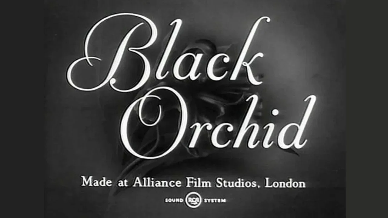 Black Orchid - 剧照