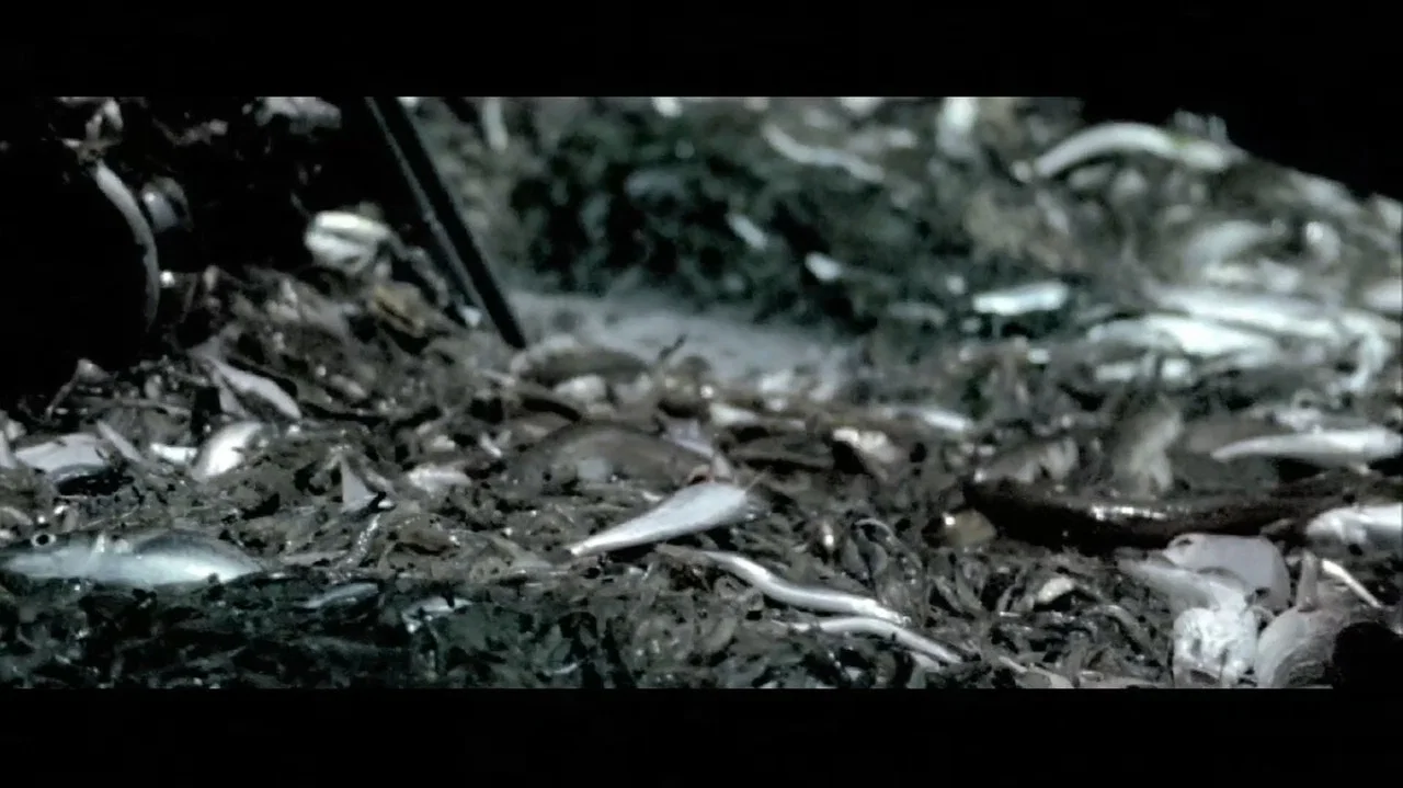 Nachtwake - 剧照