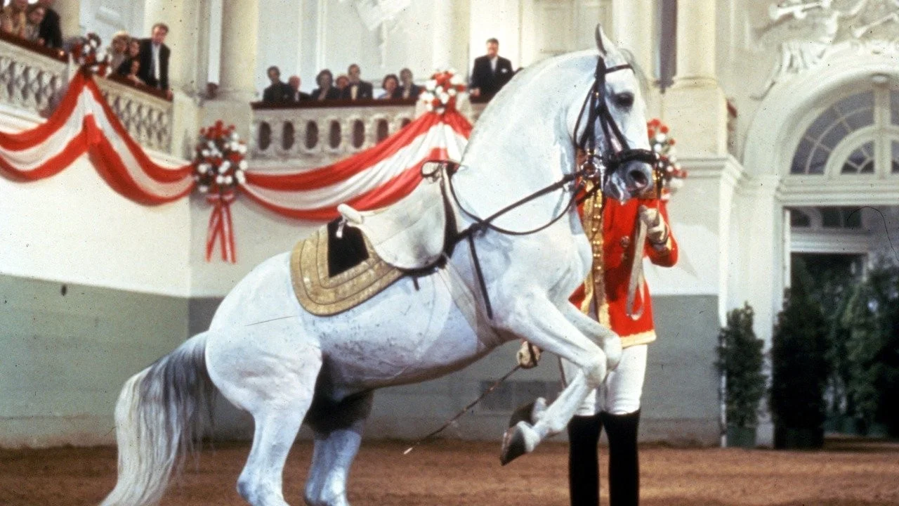 Miracle of the White Stallions - 剧照