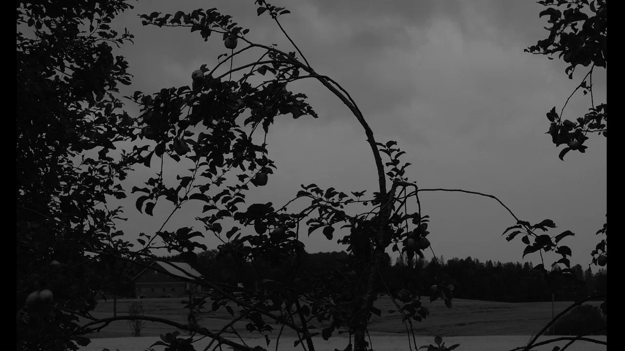 Dasein - 剧照