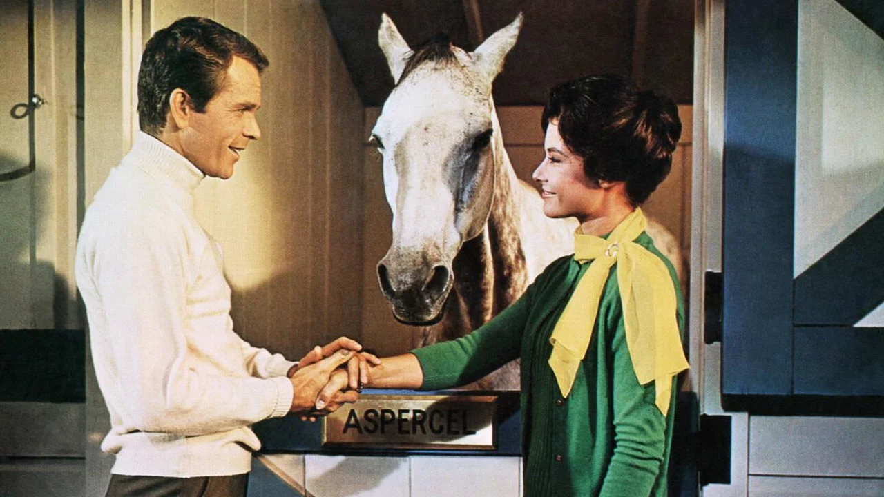 The Horse in the Gray Flannel Suit - 剧照