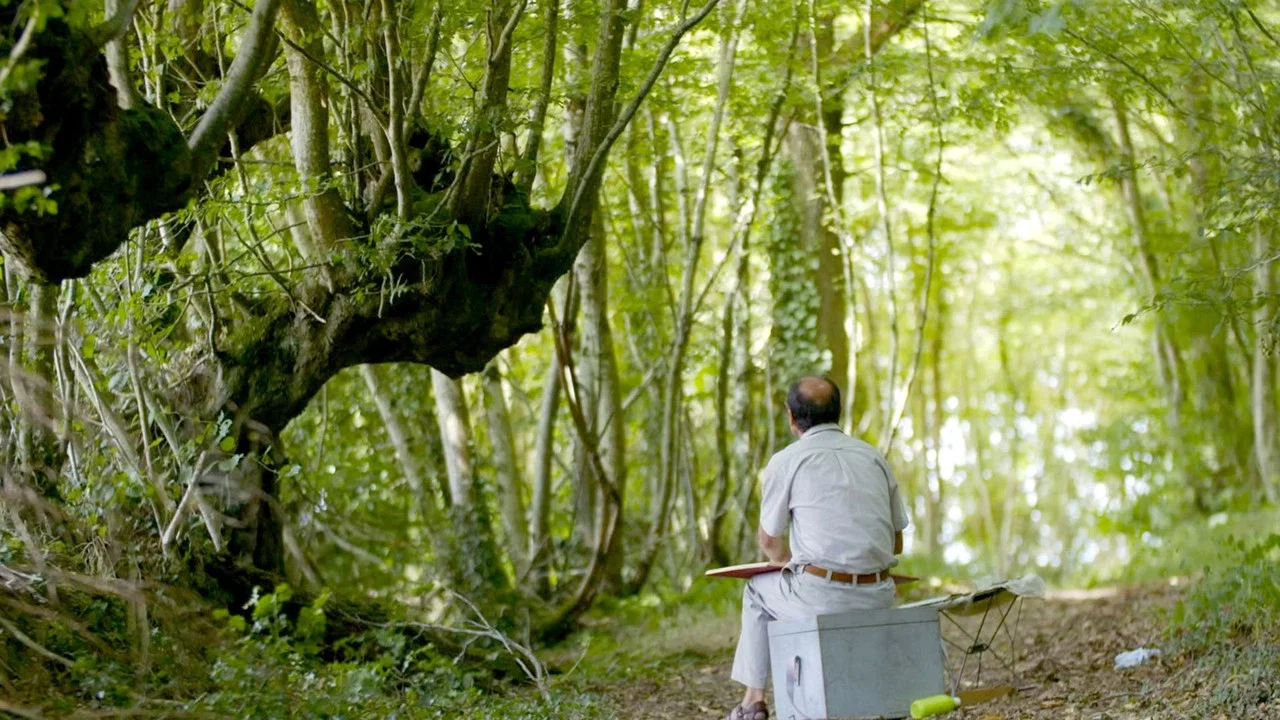 Trognes, les arbres aux mille visages - 剧照