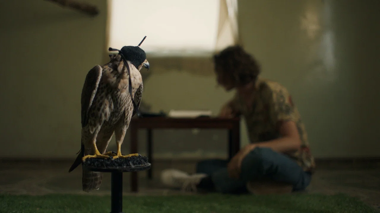 The Falconer - 剧照