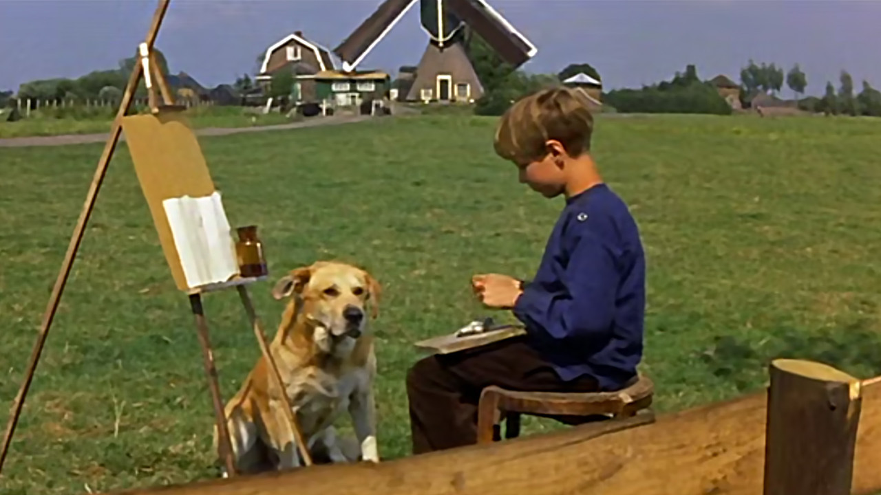 A Dog of Flanders - 剧照