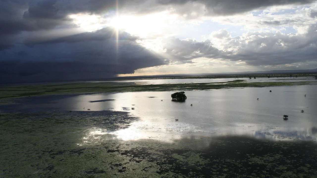 Africa's Lost Eden - 剧照
