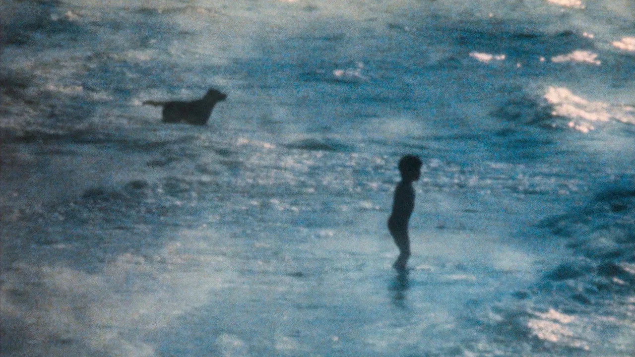 La plage - 剧照