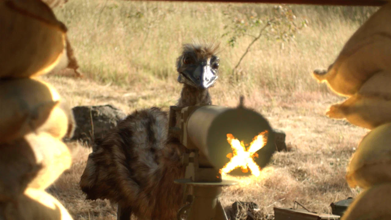 The Emu War - 剧照
