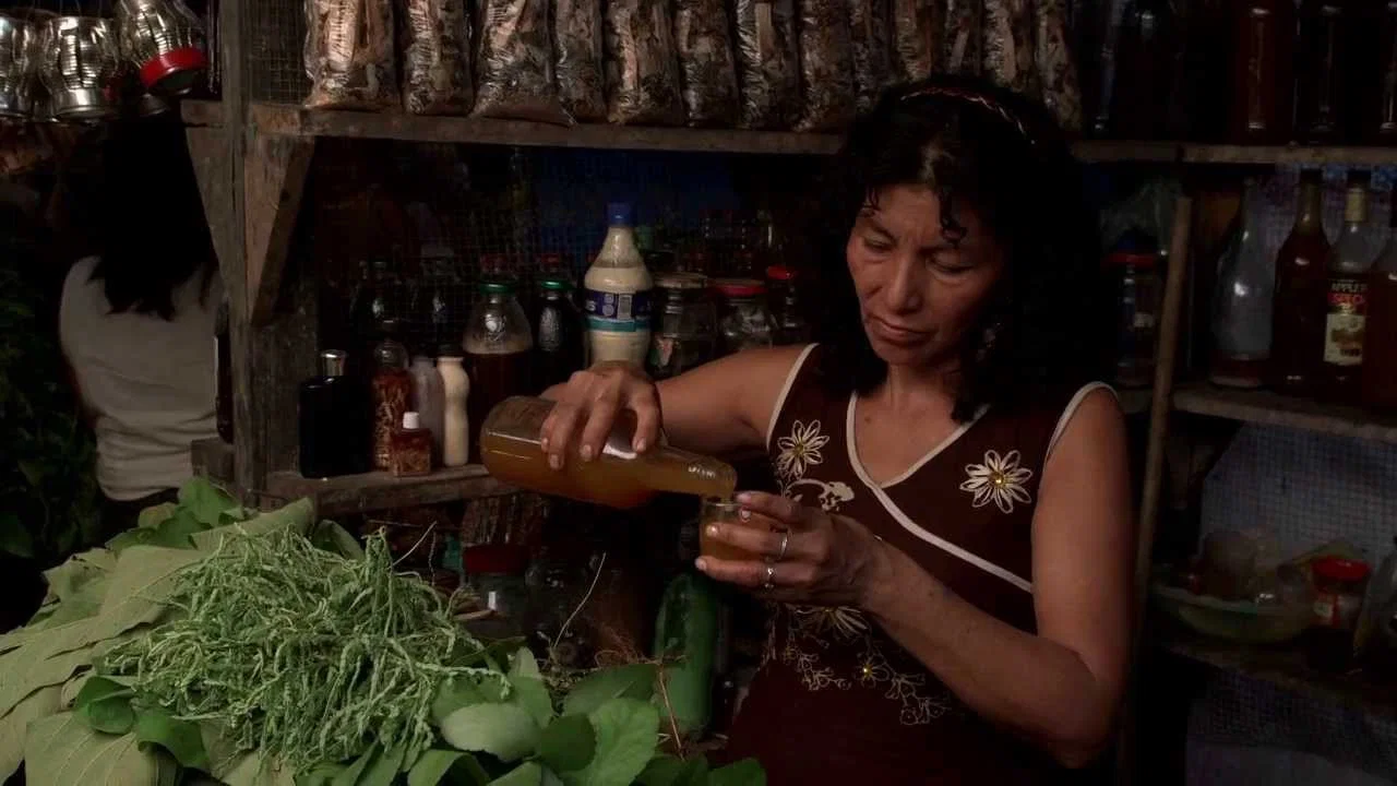Ayahuasca Diary - 剧照