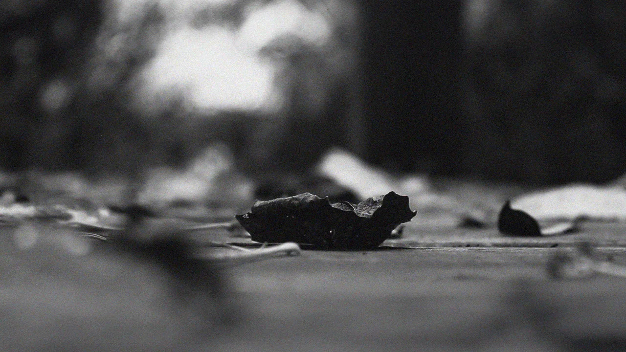 The pulse of everything from where we arose and departed - 剧照