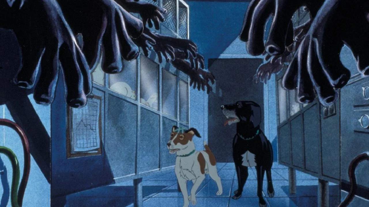 疫病犬 - 剧照