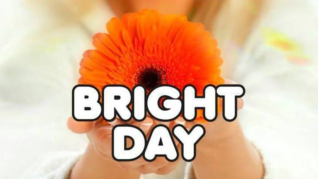 Bright Day - 剧照