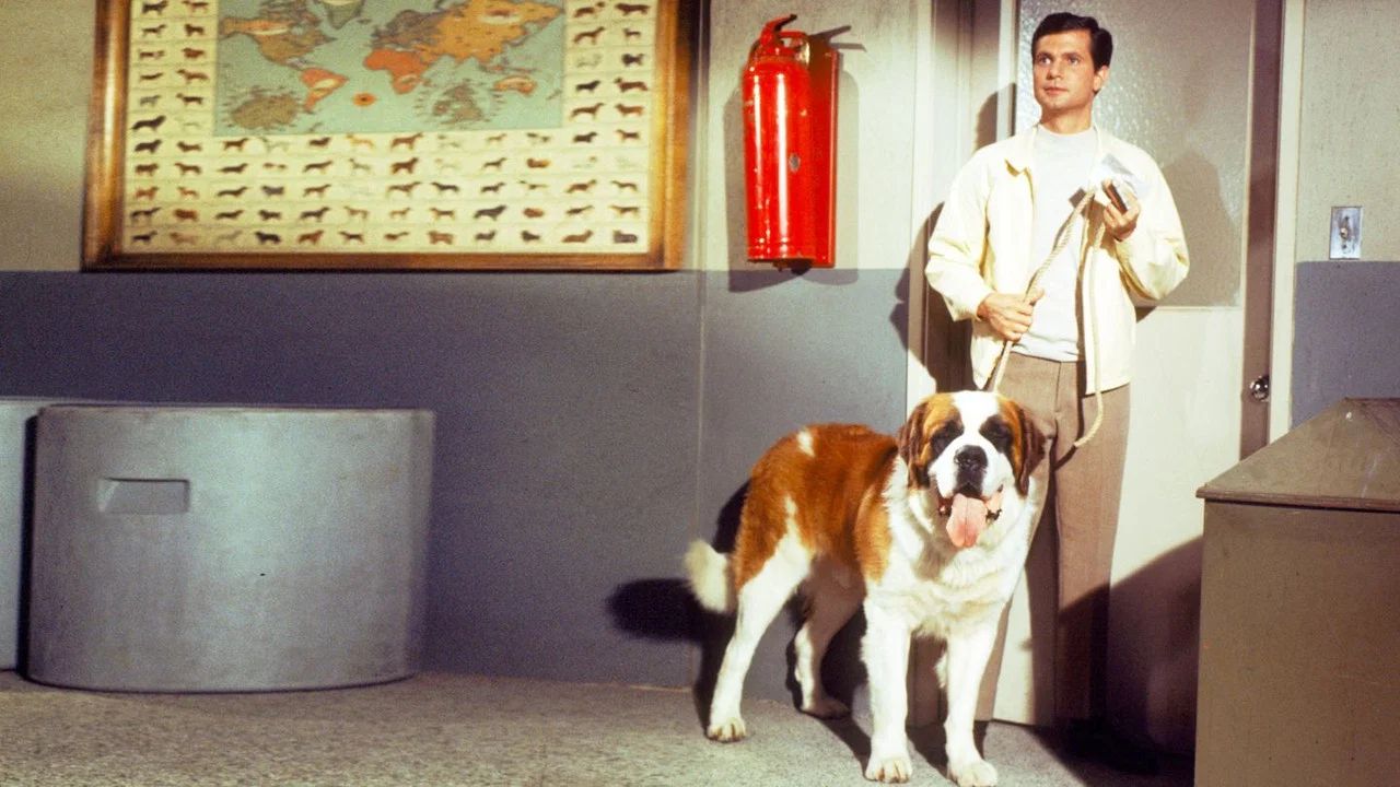 My Dog, the Thief - 剧照
