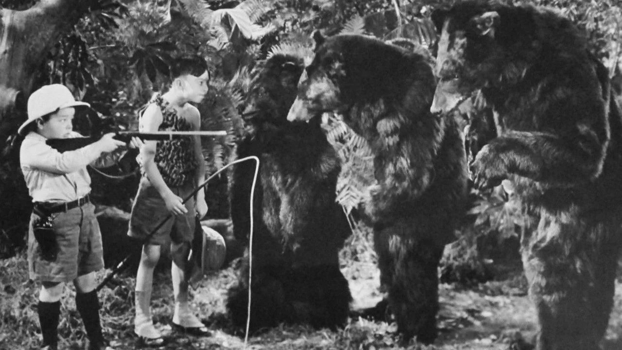 Bear Facts - 剧照