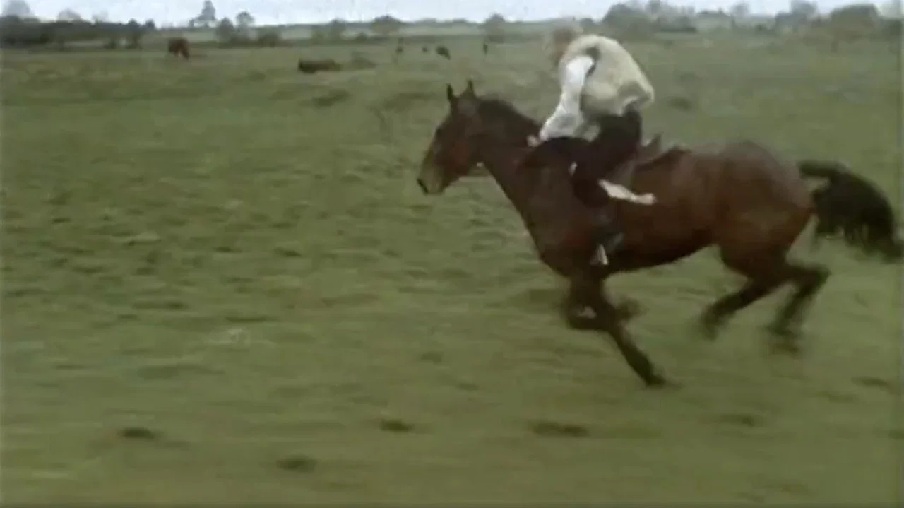 Caoineadh Airt U&iacute; Laoire - 剧照