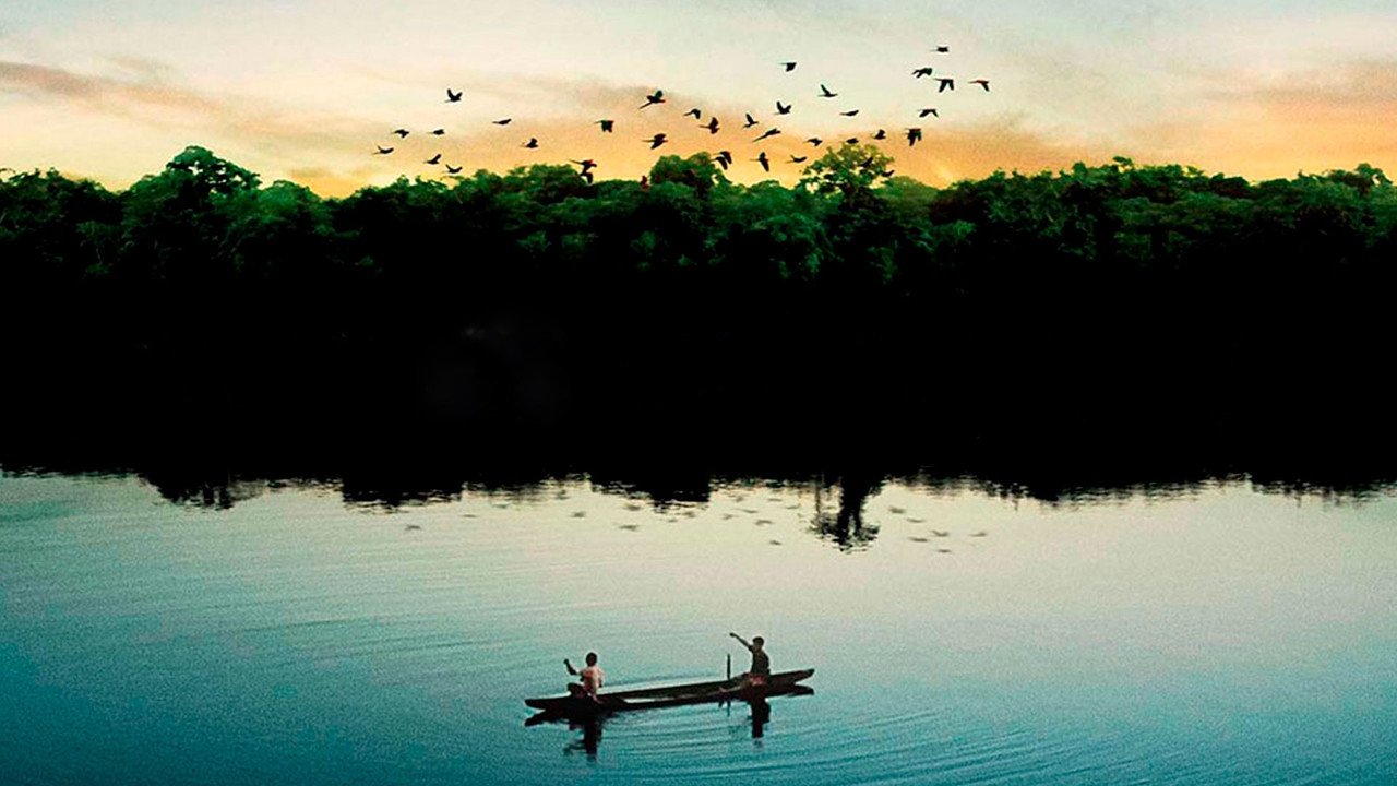 Amaz&ocirc;nia Eterna - 剧照