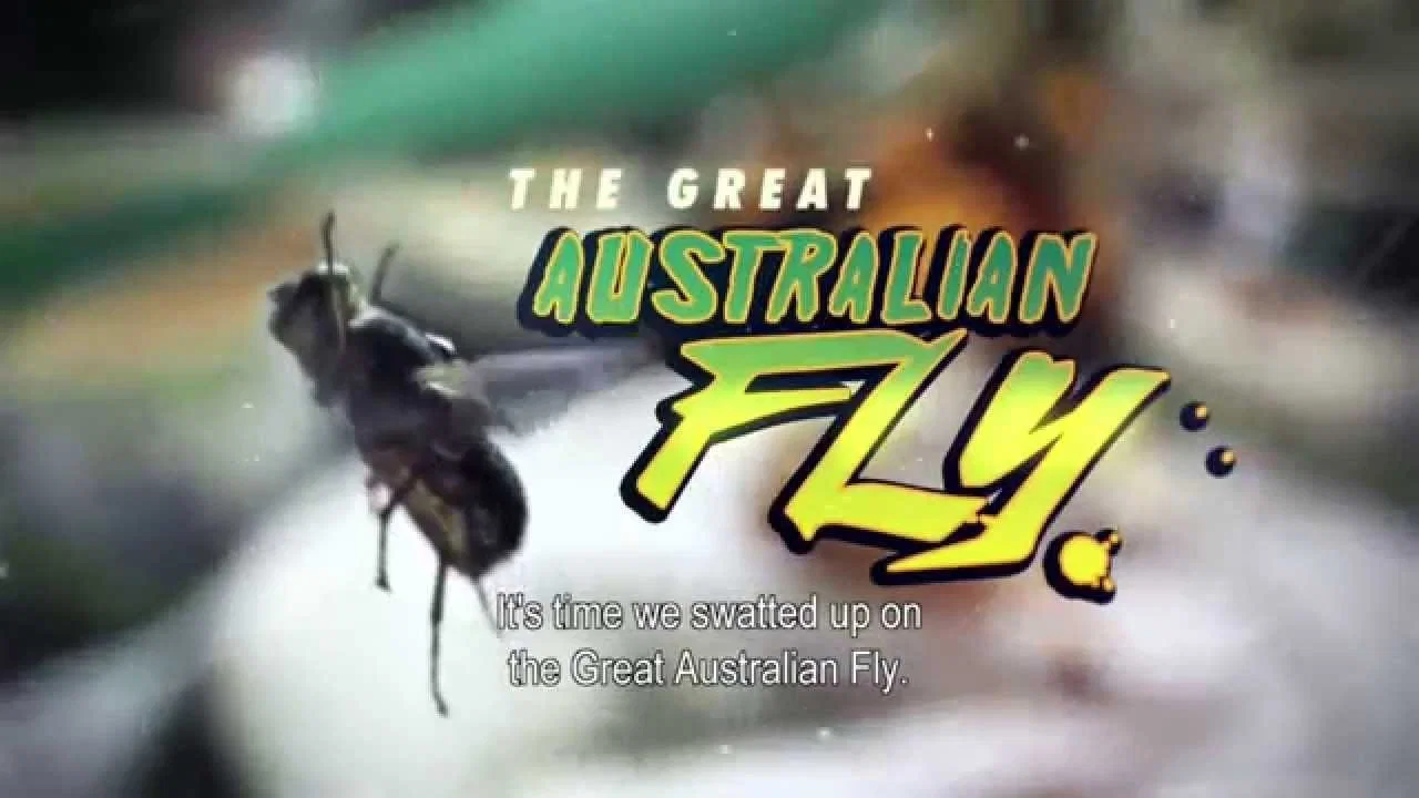 The Great Australian Fly - 剧照