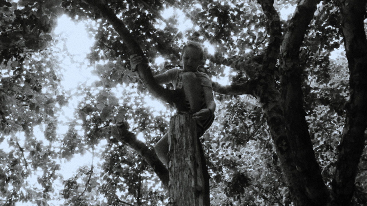 Oat Boy - 剧照