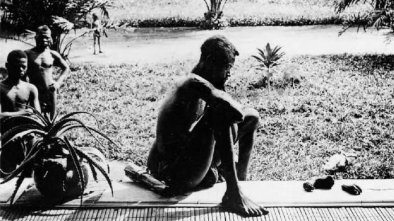 Congo: White King, Red Rubber, Black Death - 剧照