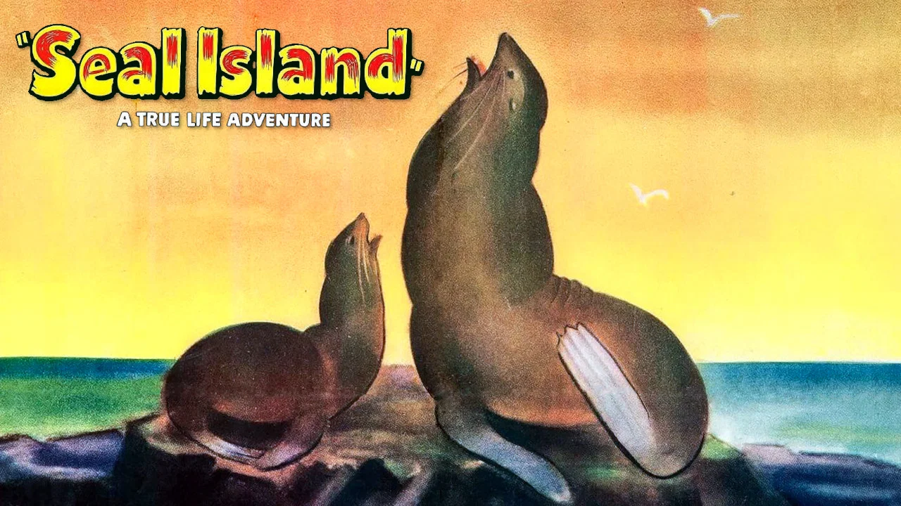 Seal Island - 剧照