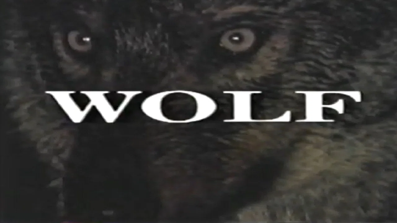 Predators of the Wild: Wolf - 剧照
