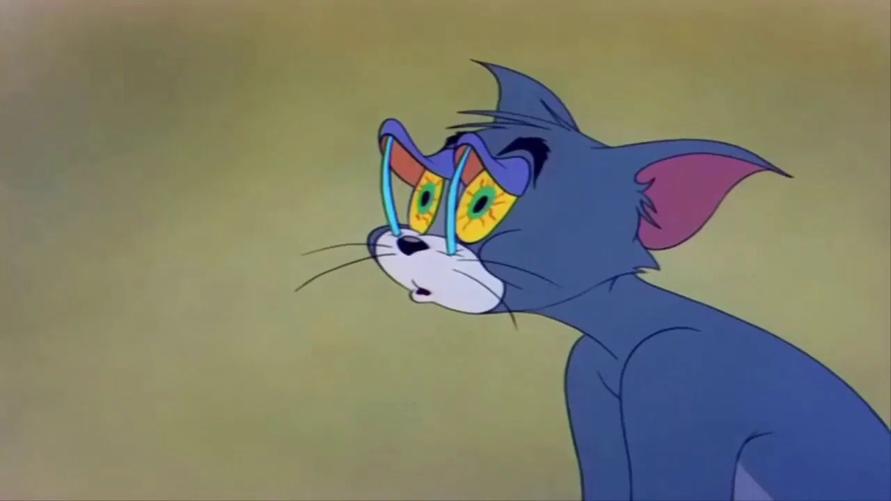 偷懒的猫 - 剧照