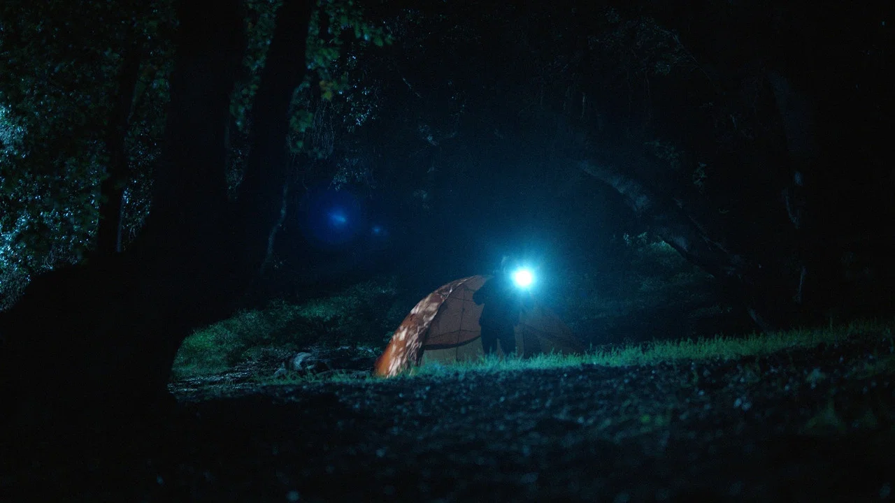 A Bear in the Woods - 剧照