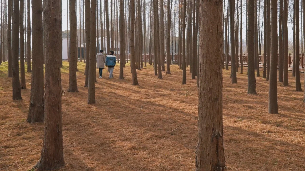 小林 - 剧照