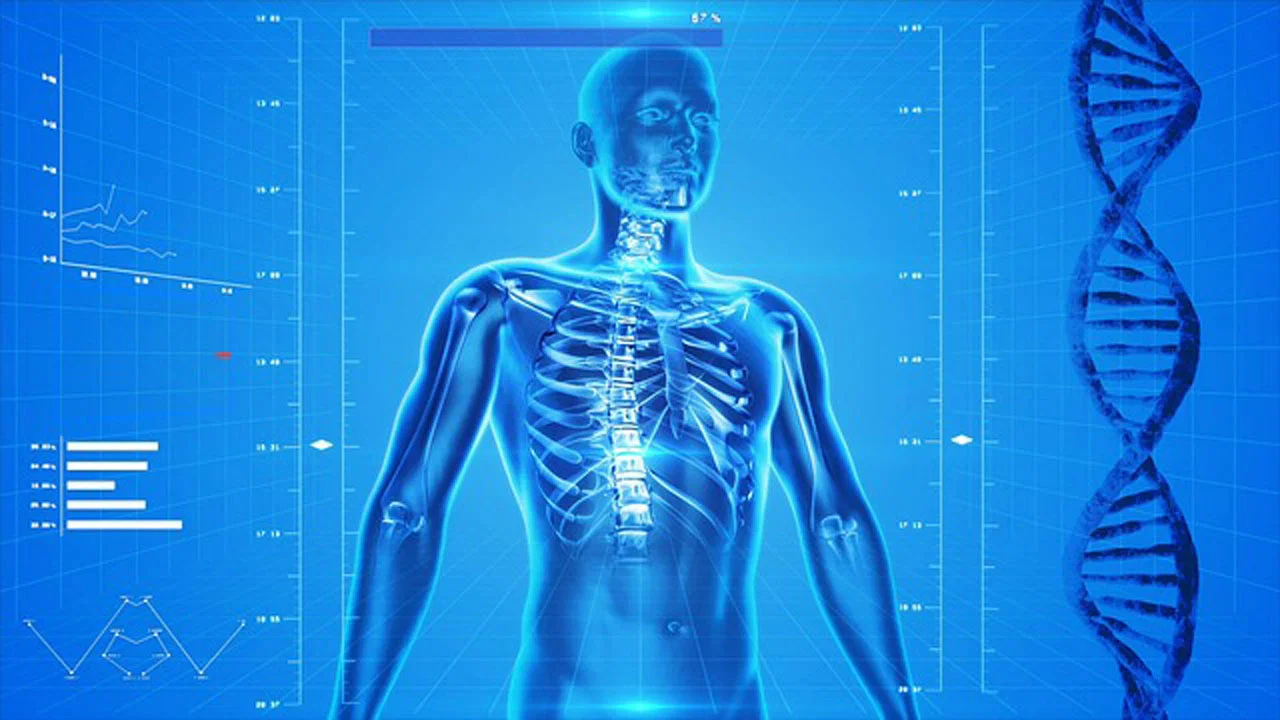 National Geographic: Incredible Human Machine - 剧照