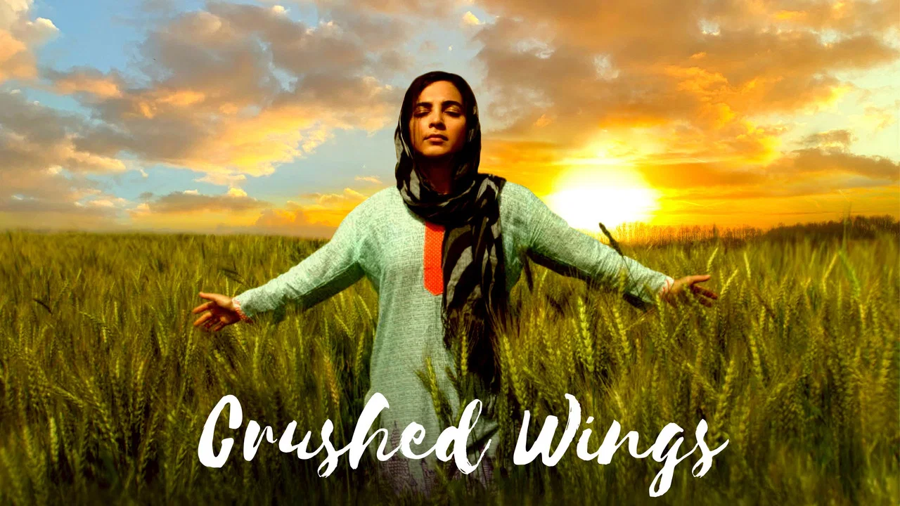 Crushed Wings - 剧照