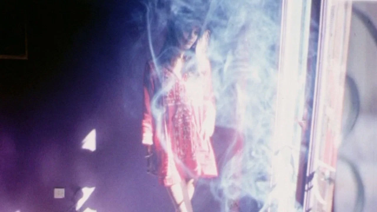 Home Movie, autour du 'Lit de la vierge' - 剧照