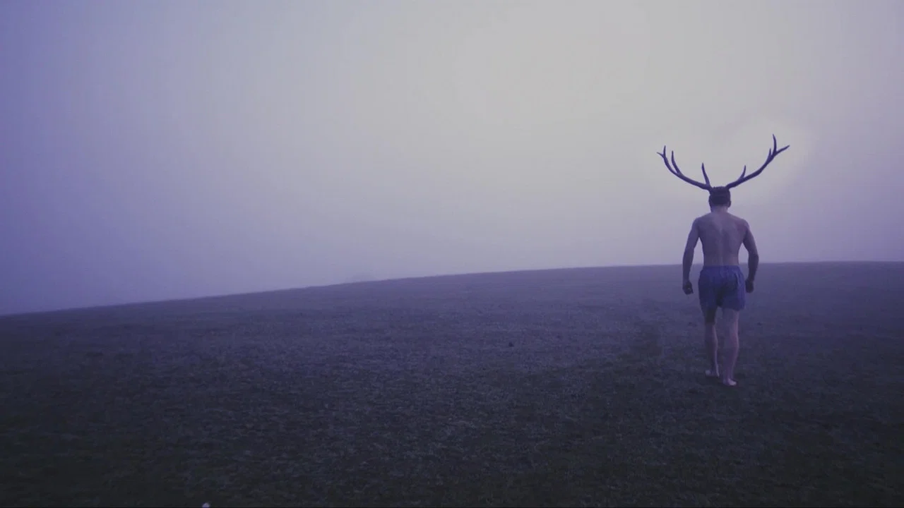 Deer Boy - 剧照