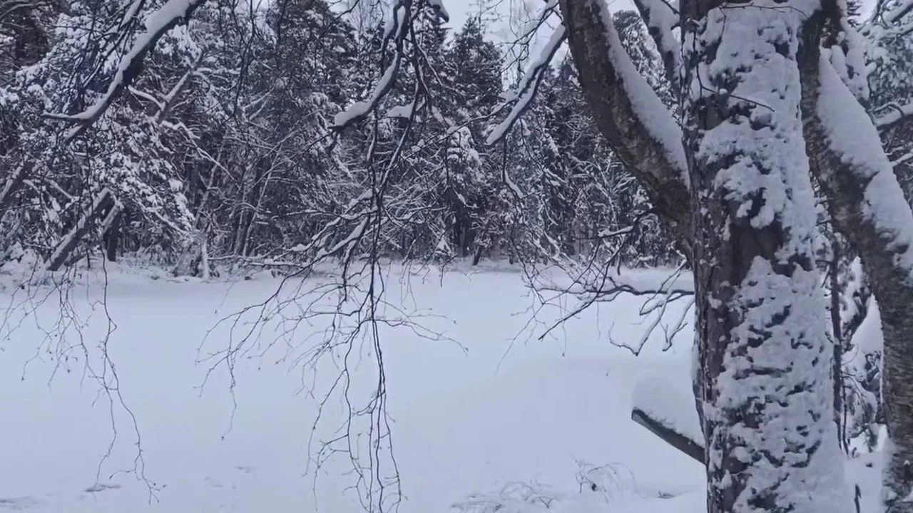 La F&eacute;erie Winter - 剧照