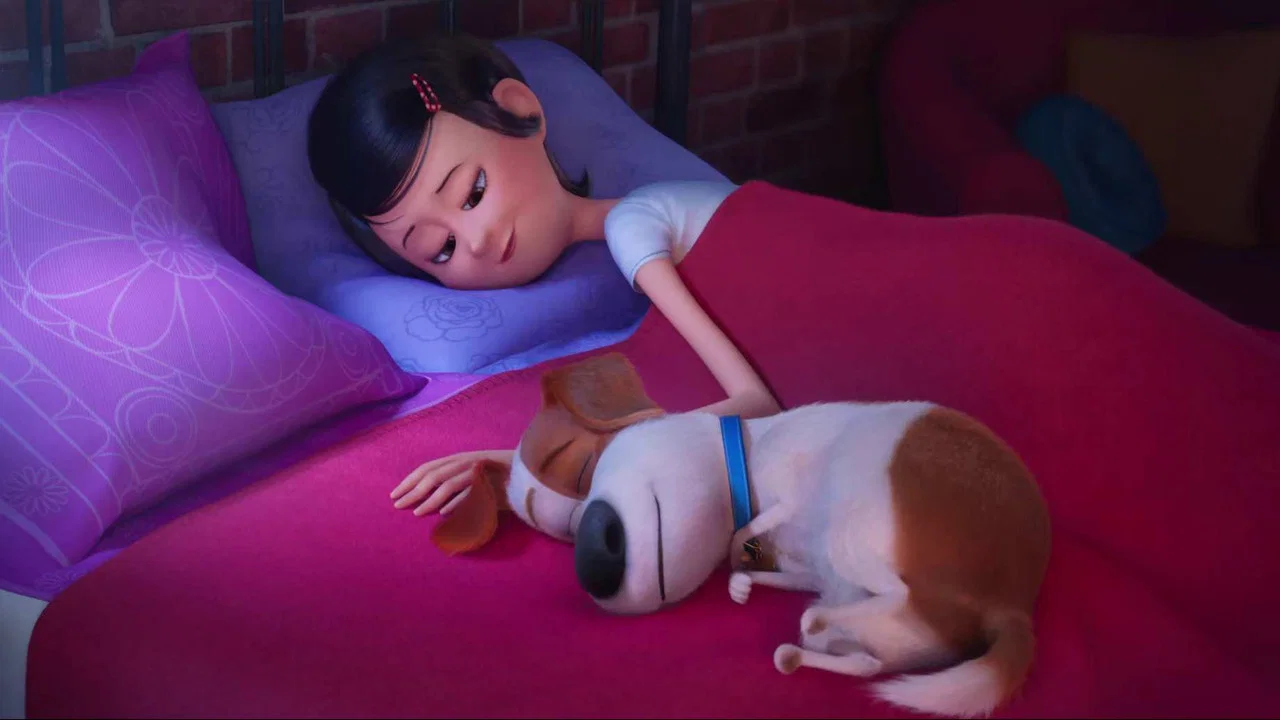 Pets - 剧照
