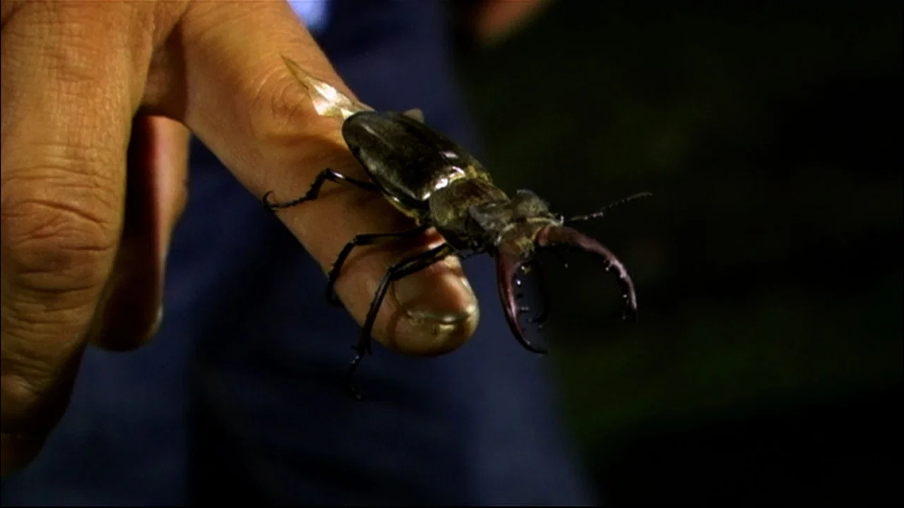 Beetle Queen Conquers Tokyo - 剧照