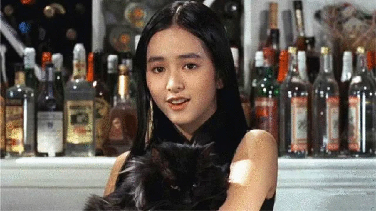 卫斯理之老猫 - 剧照