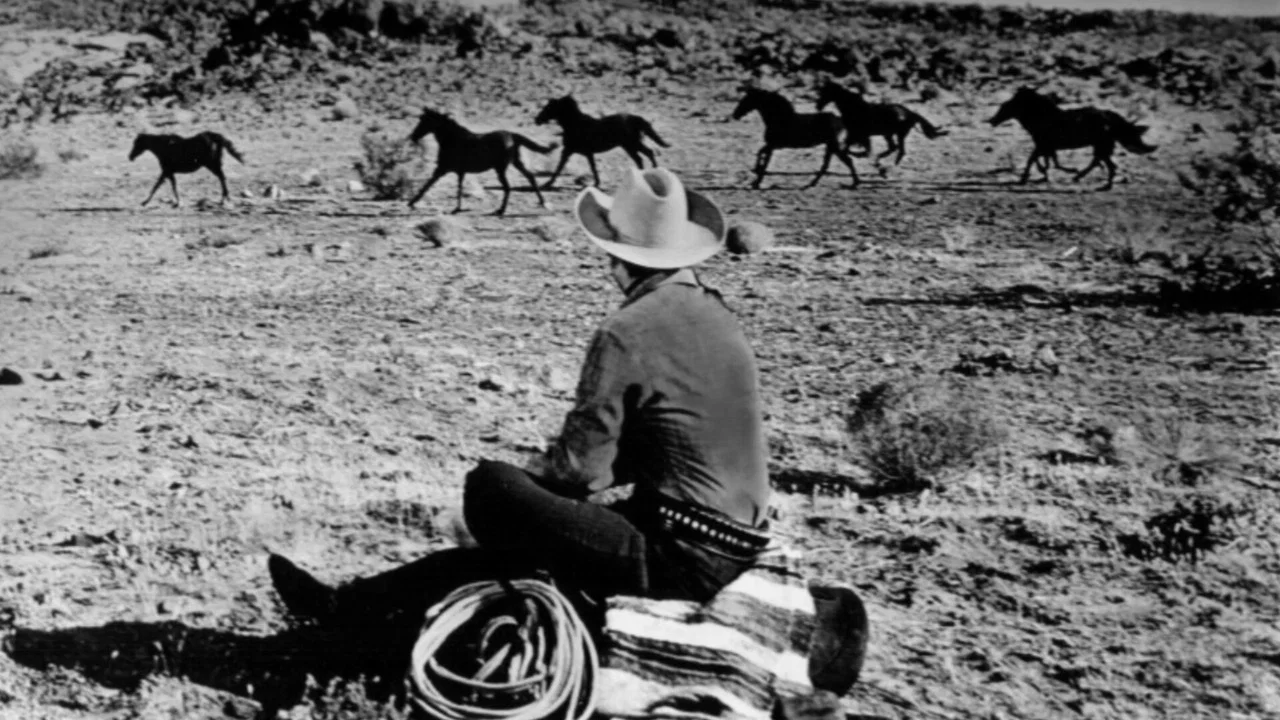 Six Black Horses - 剧照