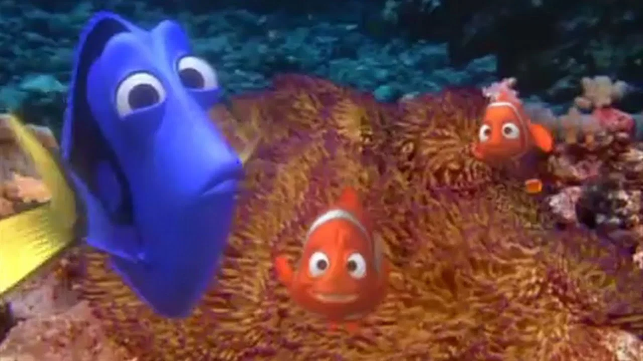 Exploring the Reef - 剧照